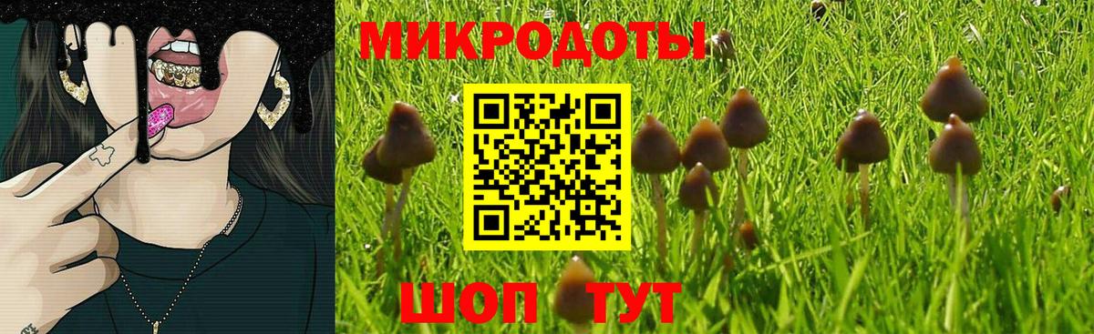 Галлюциногенные грибы MAGIC MUSHROOMS Дальнегорск