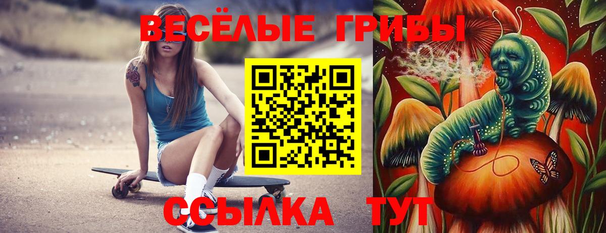 Галлюциногенные грибы Cubensis  Вход с VPN  Псилоцибиновые грибы ЛСД  что такое   Дальнегорск 